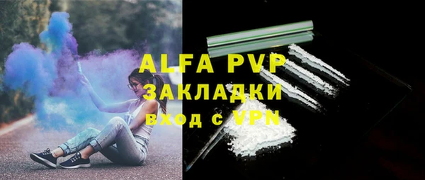 apvp Белокуриха